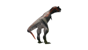 Carnotaurus
