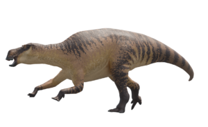 Maiasaura