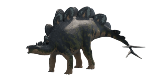 Stegosaurus