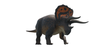 Triceratops